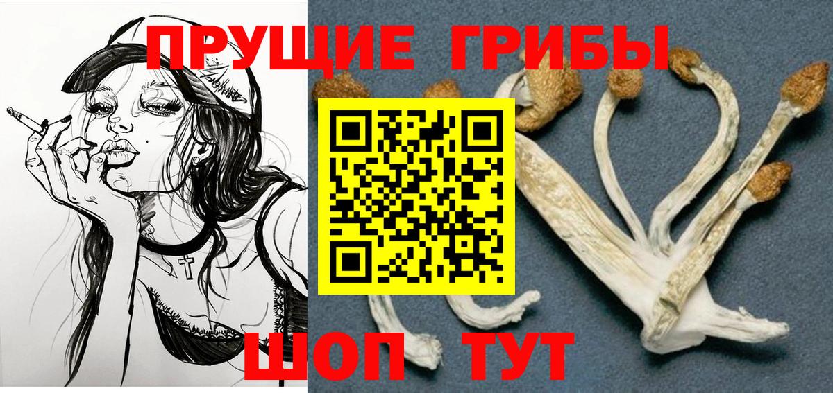 Гагарин  Галлюциногенные грибы GOLDEN TEACHER  закладки  Вход с VPN 